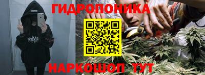 Альфа ПВП Донской