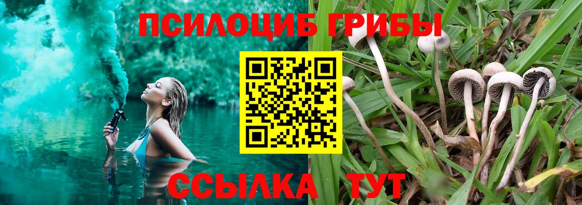 Галлюциногенные грибы мухоморы Кыштым