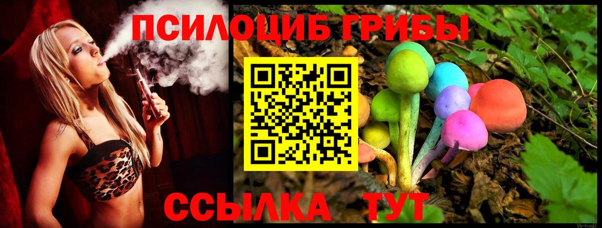 Кыштым  Псилоцибиновые грибы Psilocybine cubensis  Вход с VPN  Галлюциногенные грибы Magic Shrooms 